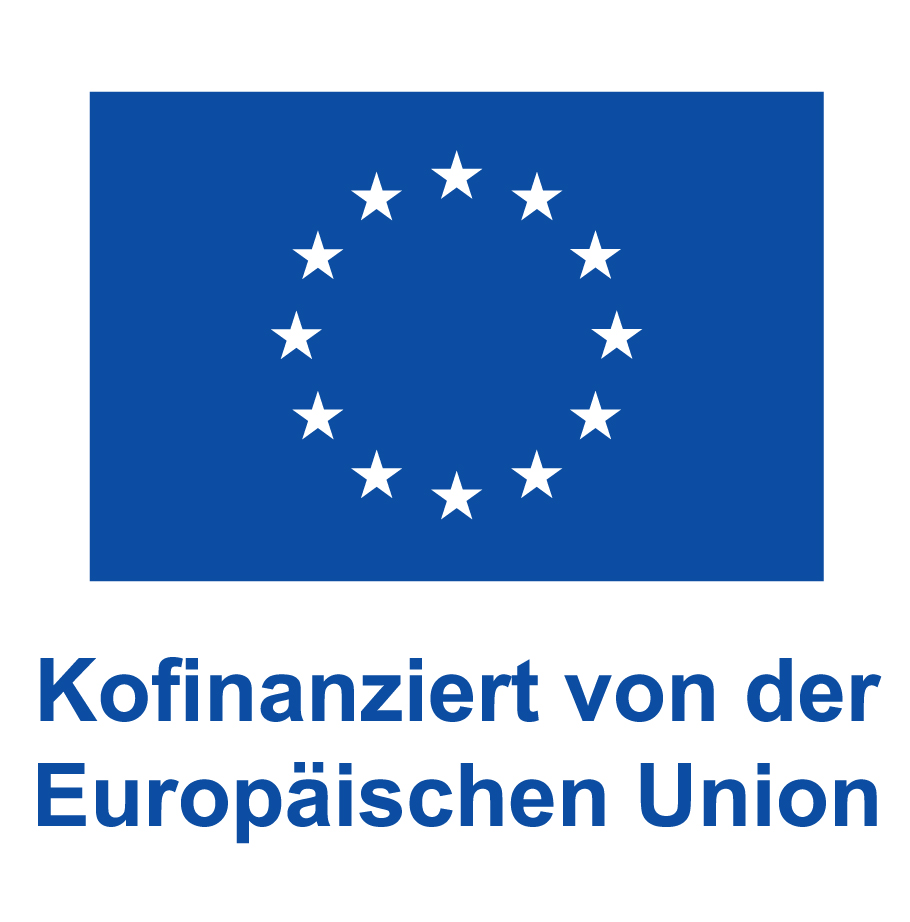 eu_flag-erasmus_vect_pos